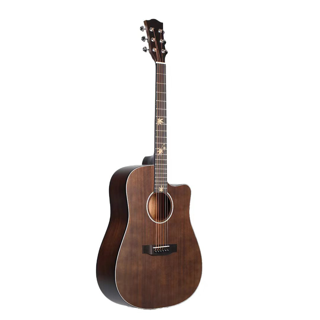Acoustic guitar