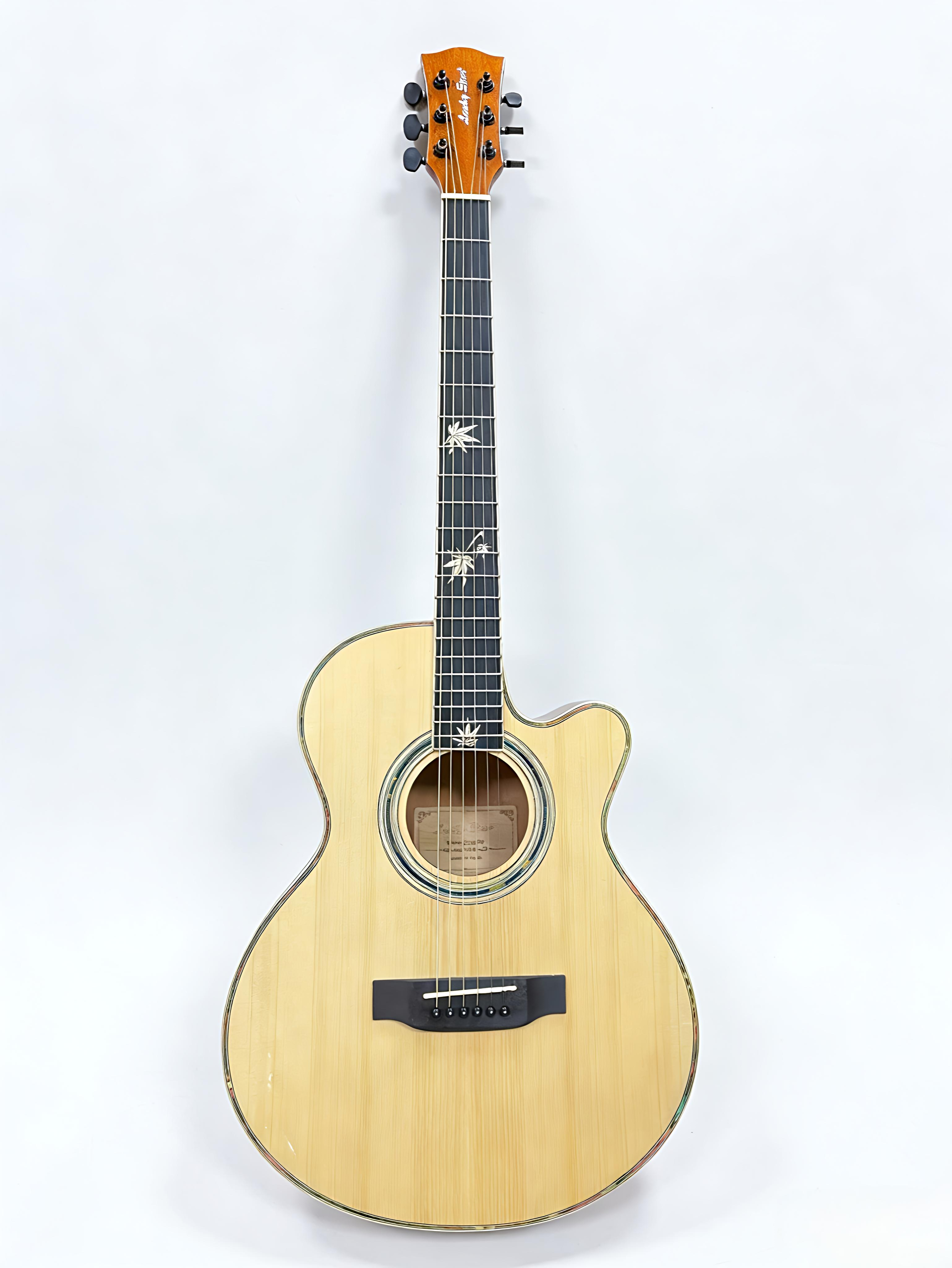 40-inch glossy cloud plate acoustic guitar with a professional 301 pickup.CG-208EQ