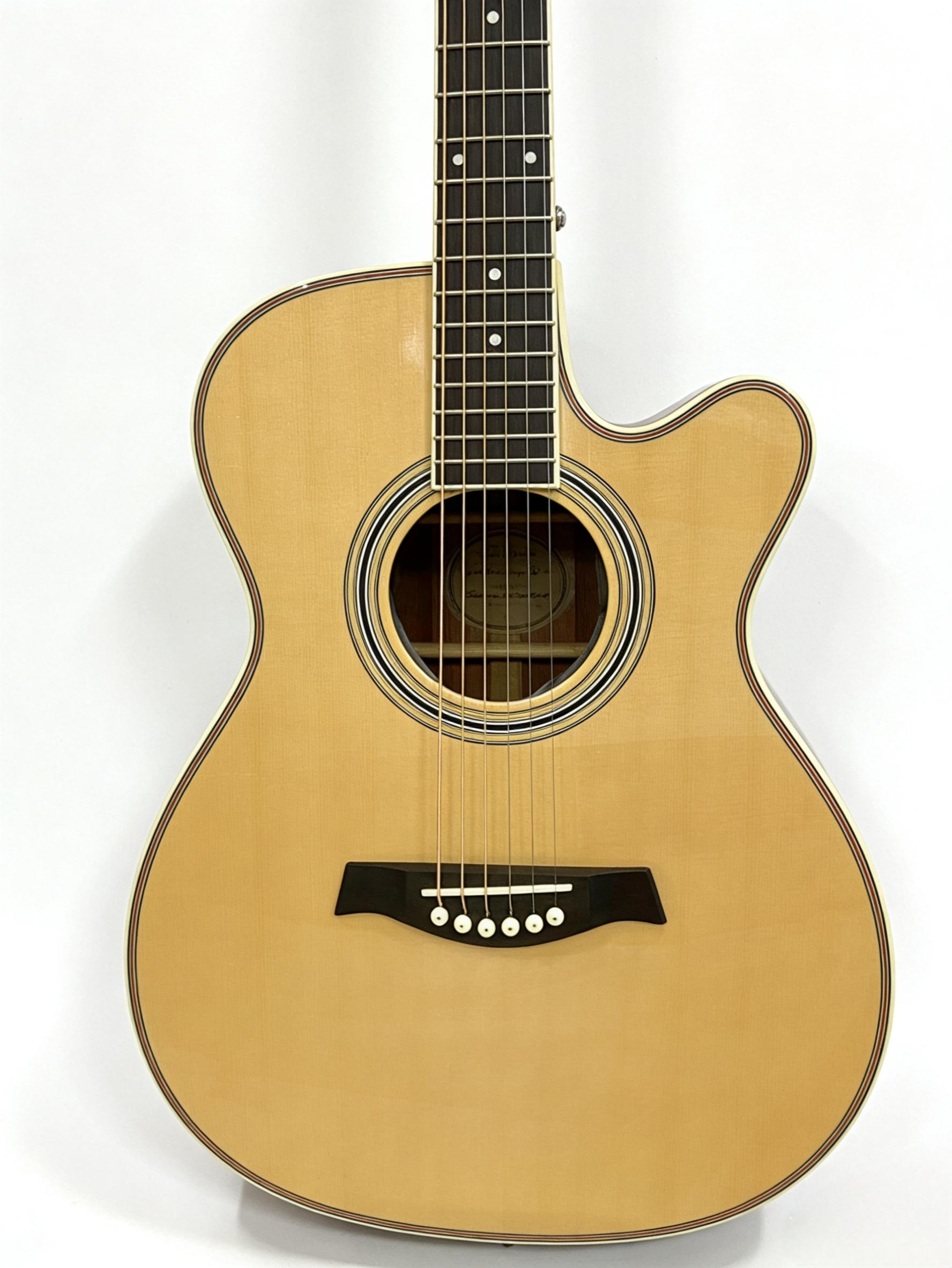 40-inch acoustic stage guitar, high-gloss finish with advanced pickup CG-202EQ