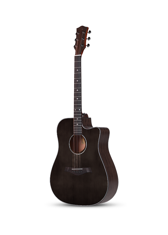 Acoustic guitarA10C(DC)