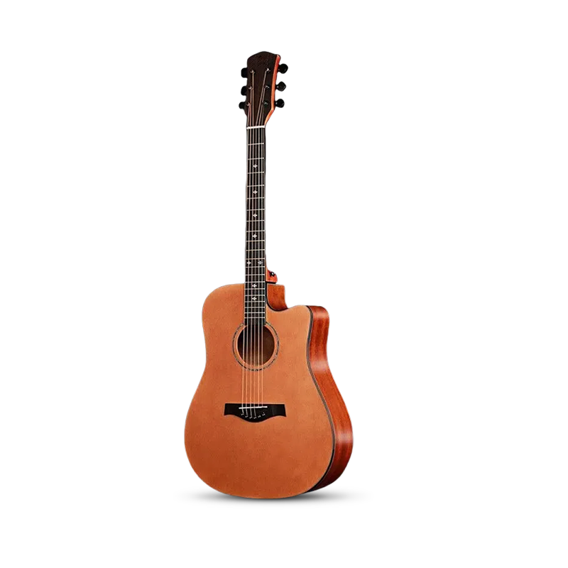 Acoustic guitarA10C(DC)