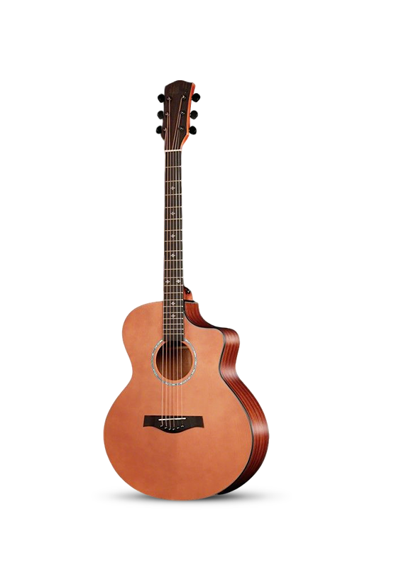 Acoustic guitarA10F(JF)