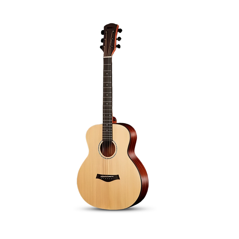 acoustic-guitaraA10S(36GSmini)