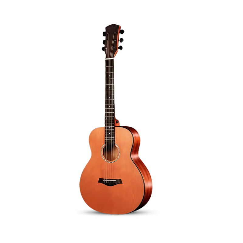 acoustic-guitaraA10S(36GSmini)
