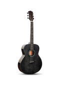 acoustic-guitaraA15S(36GSmini)