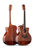 acoustic-guitaraT20